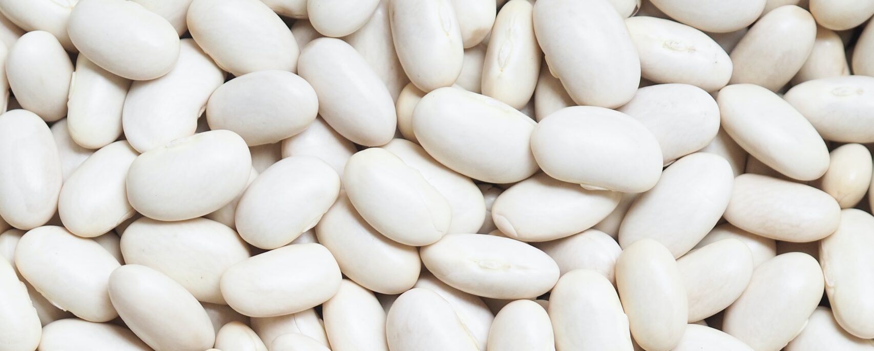 white beans on white background